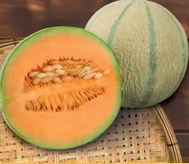 Melón kantalup
