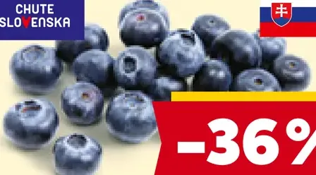 Chute Slovenska čučoriedky