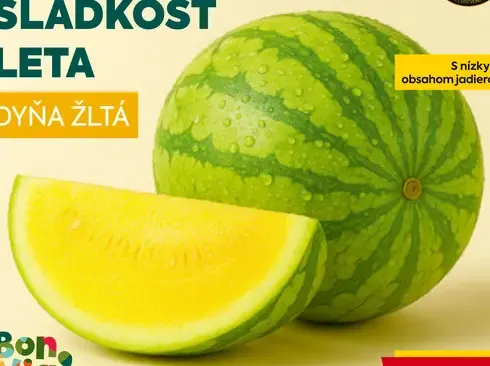 Bon Via dyňa žltá