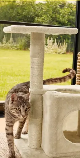 Zoofari Škrabadlo pre mačky