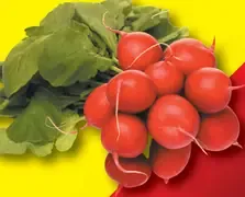 Ballino Zmrzlina