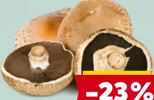 Šampiňóny Portobello