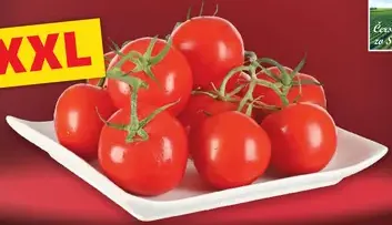 Paradajky koktailové strapcové