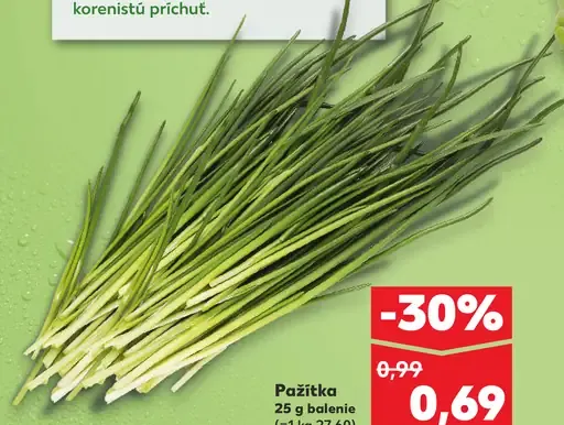 Pažítka