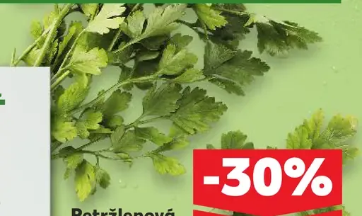 Petřžlenová vňať hladká XXL