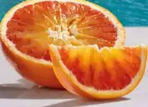 Primat Bianco