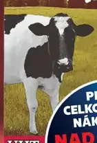 Mlekovita Milk
