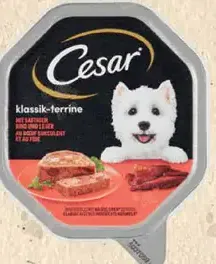 Cesar paštéta pre psy