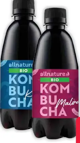Allnature BIO kombucha čierna/malinová