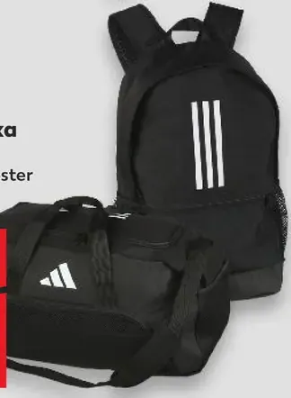 Adidas batoh alebo športová taška