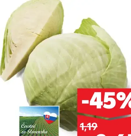 Kapusta biela