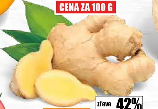 Zázvor