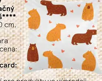 Detský dekoračný vankúš kapybara
