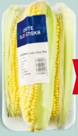 Chute Slovenska kukurica cukrová