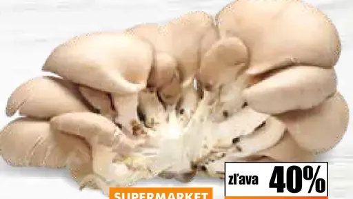Hliva