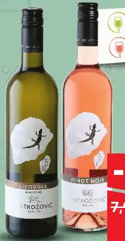 Vino biele/růžové