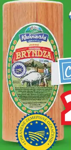 Kolanova bryndza
