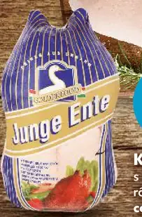 Junge Ente Kačica s drobkami