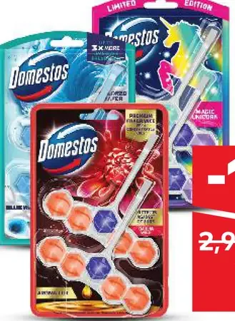 WC blok Domestos