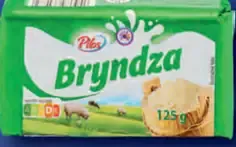 Pilos Bryndza plnotučná