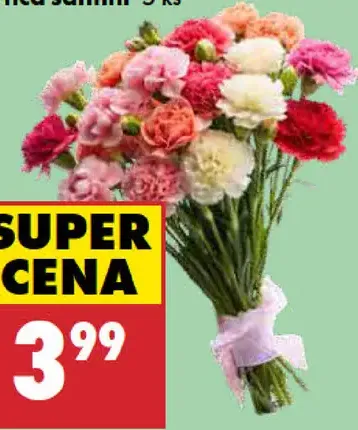 Karafiáty prémium