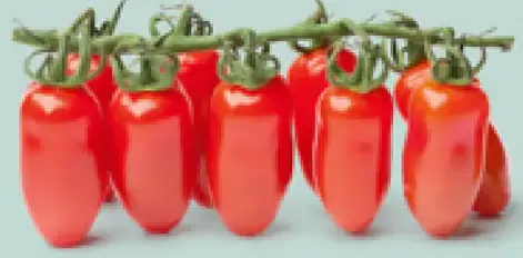 Rajčiaky San Marzano