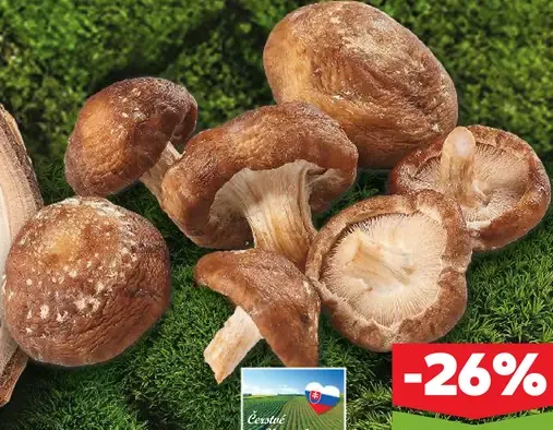 Shiitake