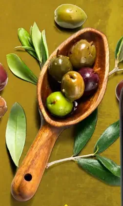 Primadonna Extra virgin olive oil