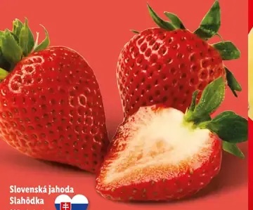Slovenská jahoda Slahôdka