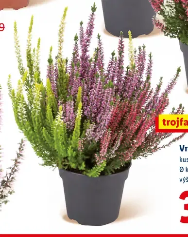 Vres trojbarebný