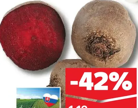 Cvikla