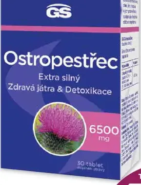 GS Pestrec