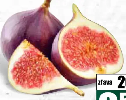 Figa čerstvá