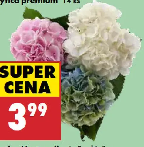 Kytica Hortenzie mix 3 odtieňov