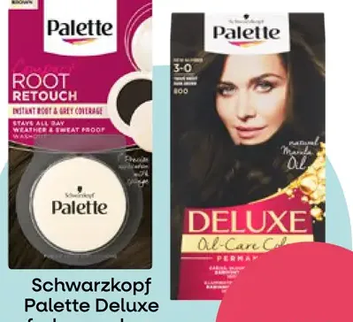 Schwarzkopf Palette Deluxe kompaktný púder
