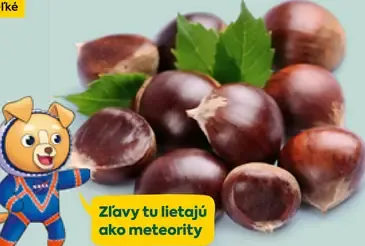 Gaštany voľné