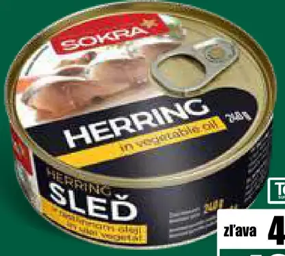 Sókrates Sleď v oleji