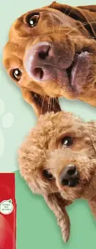 Purina Darling granuly