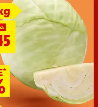 Biela kapusta