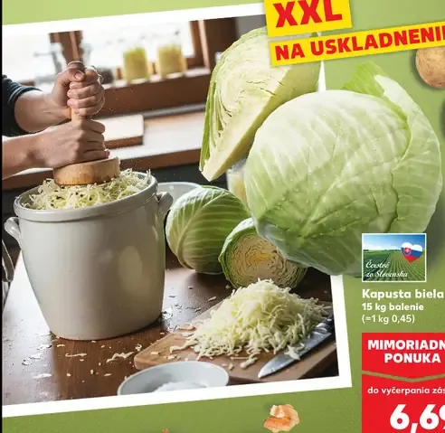 Kapusta biela