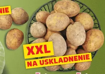 Zemiaky konzumné nepravé