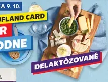 Liptov Bryndza 48% delaktozovaná