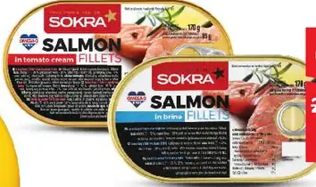 Sokra Salmon Fillet