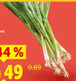 Lidl Lahôdková cibuľka