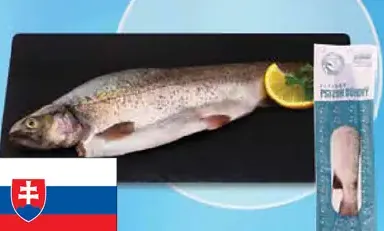 Pstruh dúhový pitvaný
