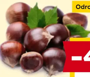 Gaštany Odroda Prestige