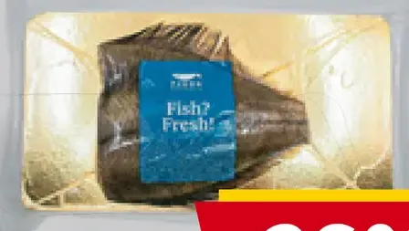 Platena atlantická filéta