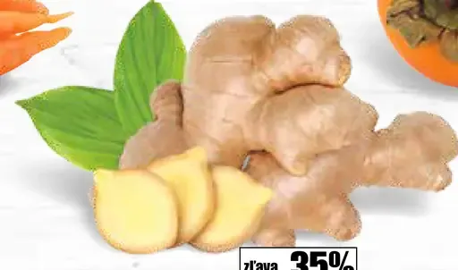 Supermarket Tempo Zázvor