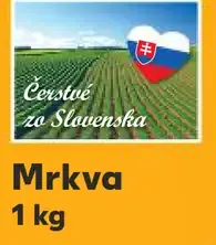 Enzed Mrkva