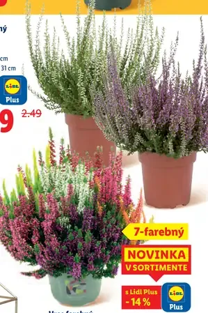 Vres farebný